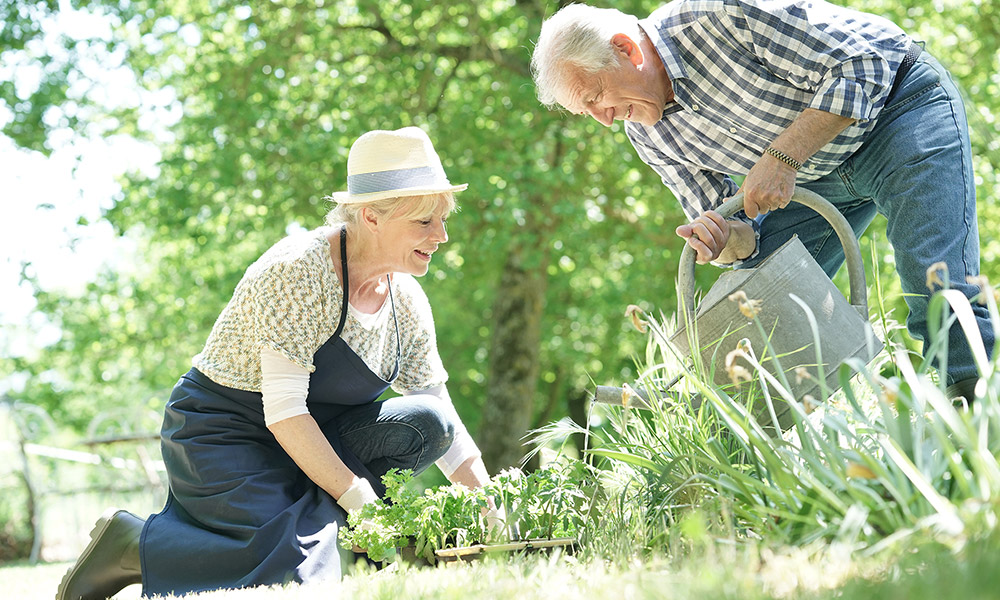 retired couple doing a healthy outdoor hobby