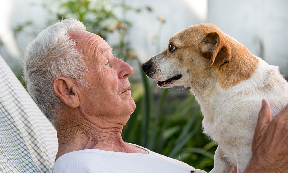 Retiree with a pet